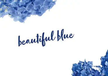 Trend Colours 2024 _ Beautiful Blue