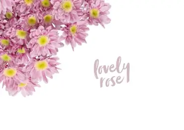 Trend Colours - Lovely Rose