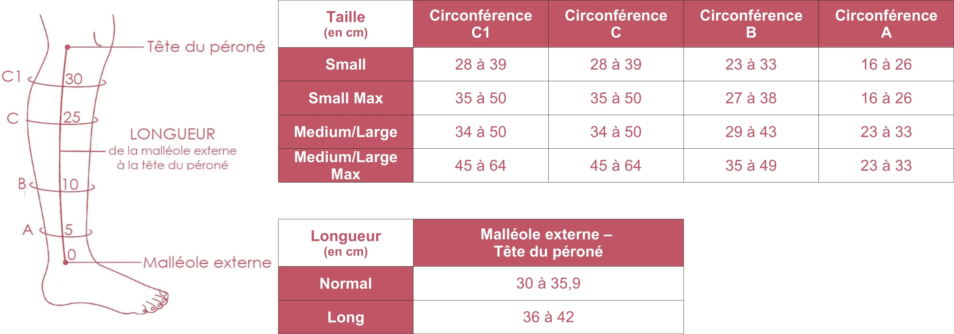 Grille des tailles du dispositif de compression Coolflex Standard Calf Sigvaris