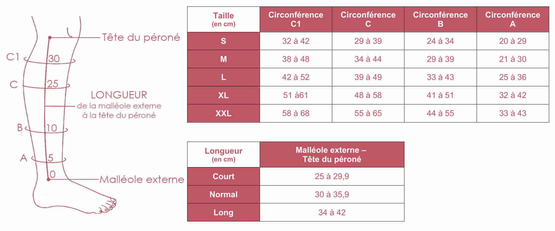 Grille des tailles du sipositif de compression Medafit Below Knee de Sigvaris